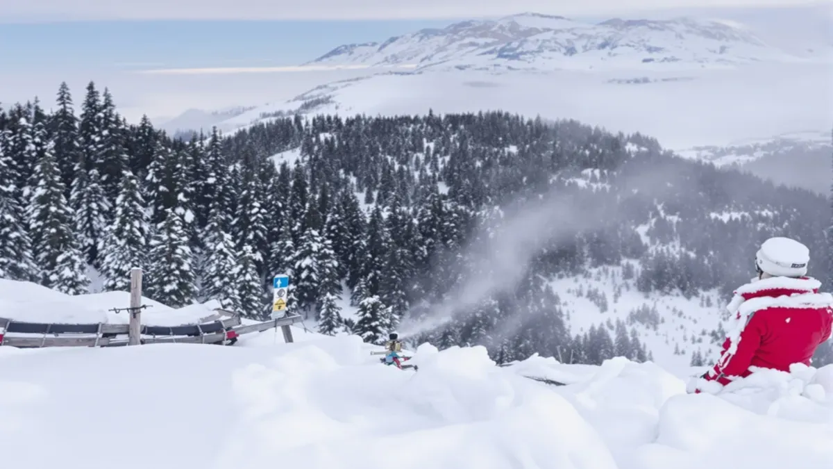 Skieur en tenue rouge dans un paysage enneigé